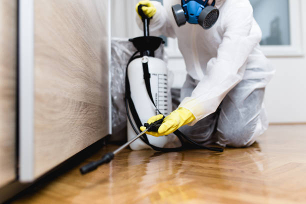 Best Local Pest Control Services  in Jackson, SC