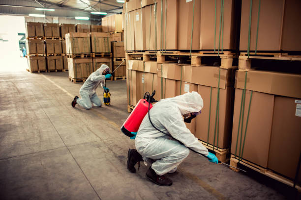 Best Pest Removal Services  in Jackson, SC