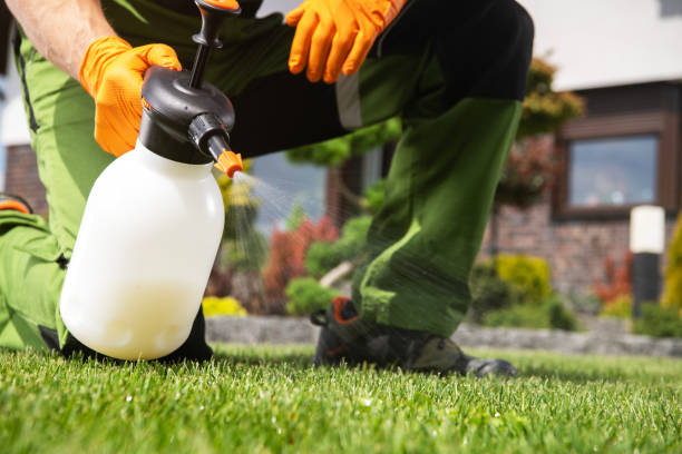 Best Pest Control Near Me in Jackson, SC