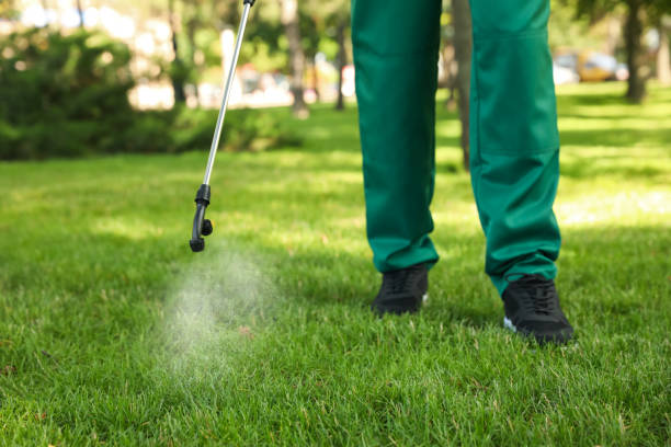 Best Exterminator Services  in Jackson, SC