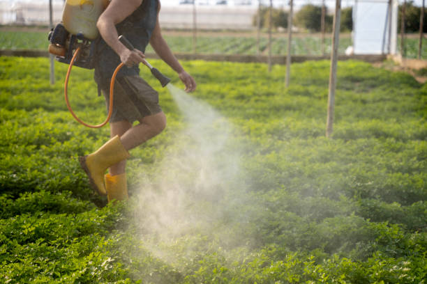 Best Pest Removal Services  in Jackson, SC