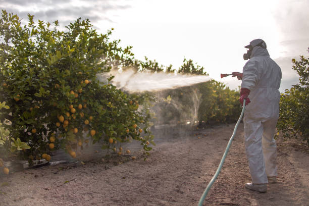 Best Pest Control Near Me  in Jackson, SC