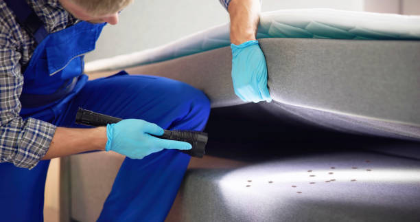 Jackson, SC Pest Control Company