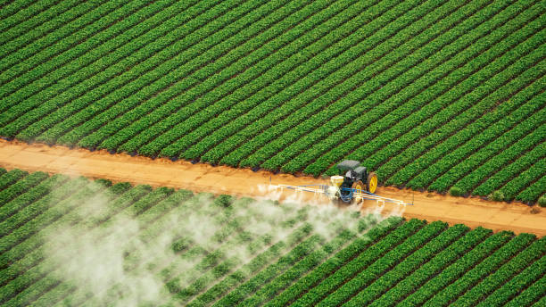 Best Best Pest Control Companies  in Jackson, SC