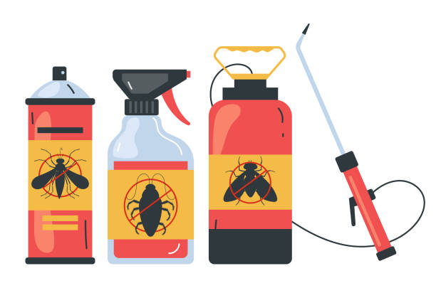 Best Wasp Removal Services  in Jackson, SC