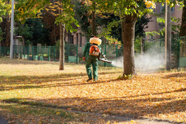 Best Mosquito Control Services  in Jackson, SC