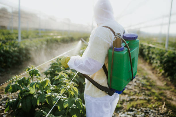 Best Bed Bug Extermination  in Jackson, SC